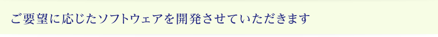 ご要望に応じたソフトウェアを開発させていただきます